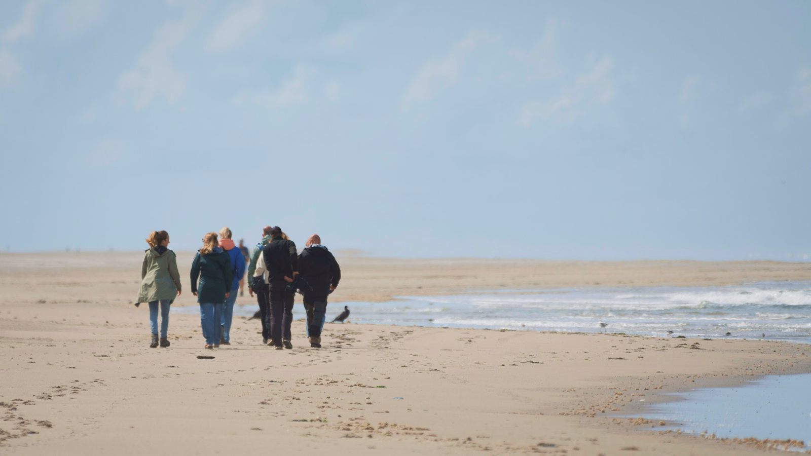 Groep medewerkers wandelend over het strand